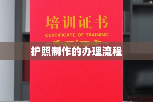澄城护照制作的办理流程